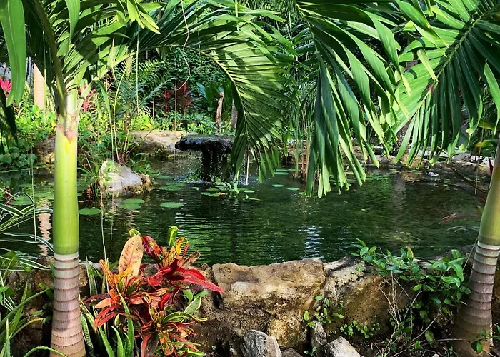 Pousada Glass Jungle With Amazing Views -10 Min Dt Playa del Carmen