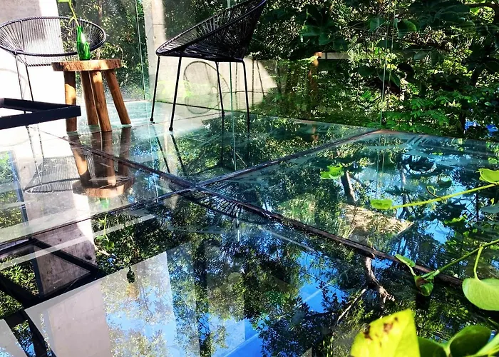 Pousada Glass Jungle With Amazing Views -10 Min Dt