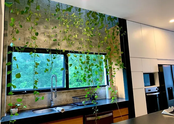 Glass Jungle With Amazing Views -10 Min Dt