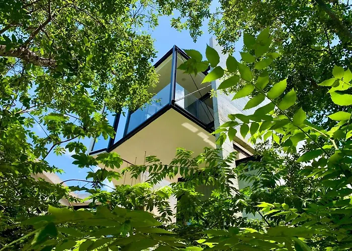 Glass Jungle With Amazing Views -10 Min Dt Pousada *