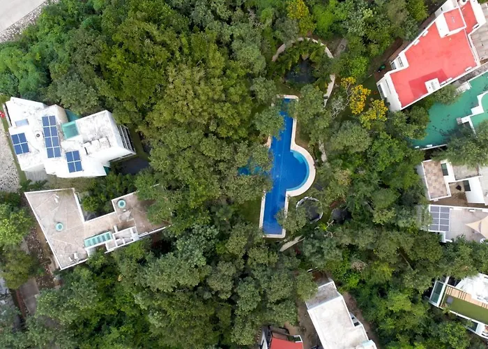 Glass Jungle With Amazing Views -10 Min Dt * Playa del Carmen