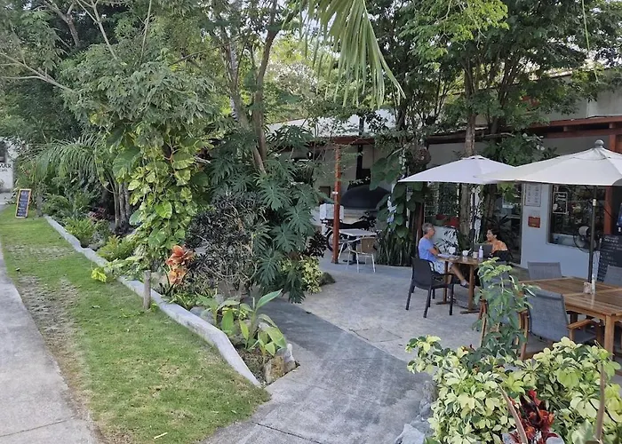 Pousada Glass Jungle With Amazing Views -10 Min Dt *