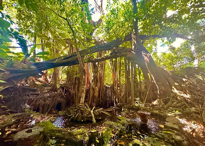 Pousada Glass Jungle With Amazing Views -10 Min Dt Playa del Carmen